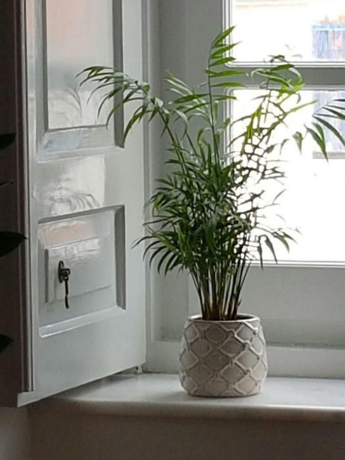 Hydra Memories House Guest House Ngoại thất bức ảnh